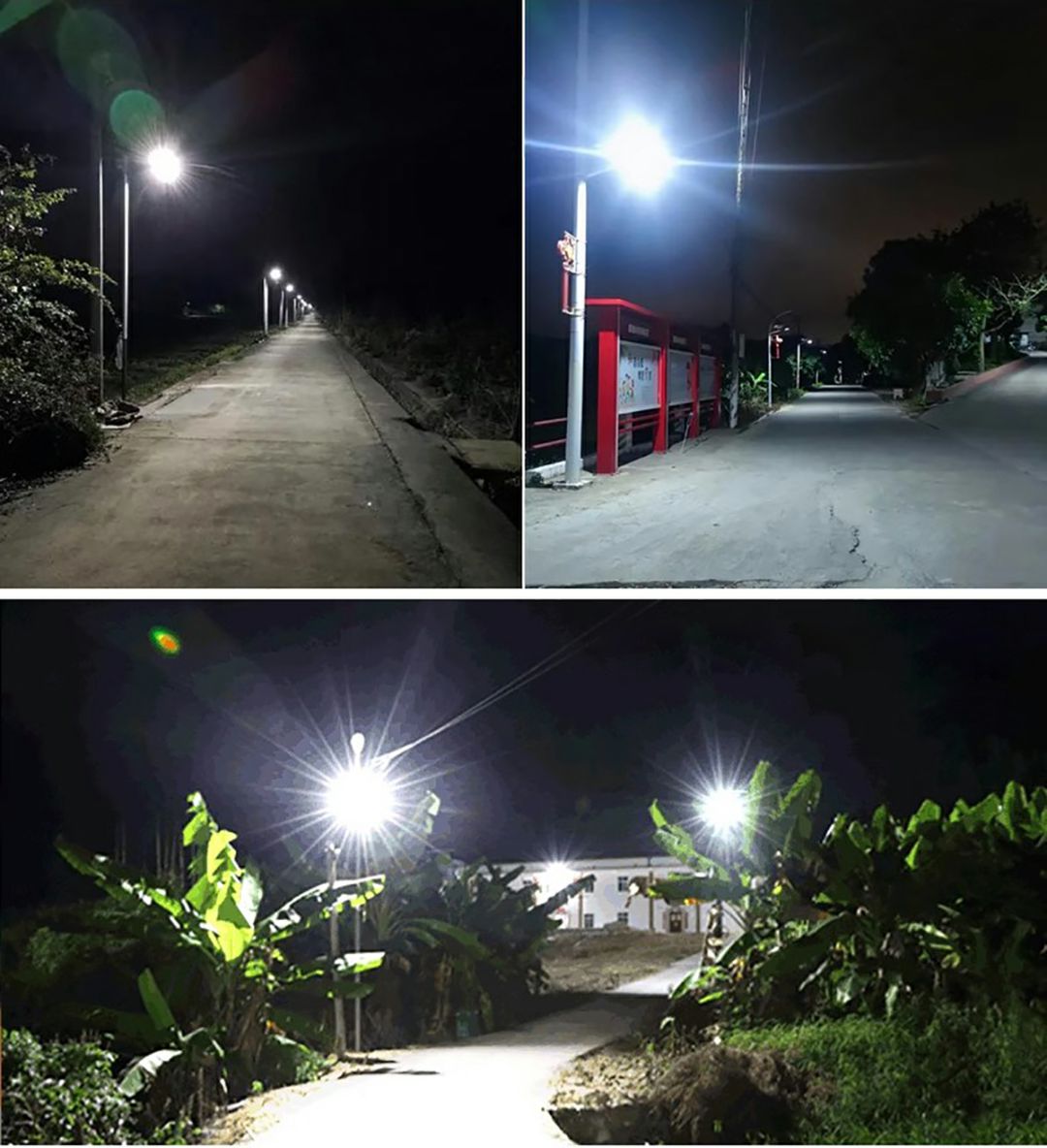 505 Dual body street lamp