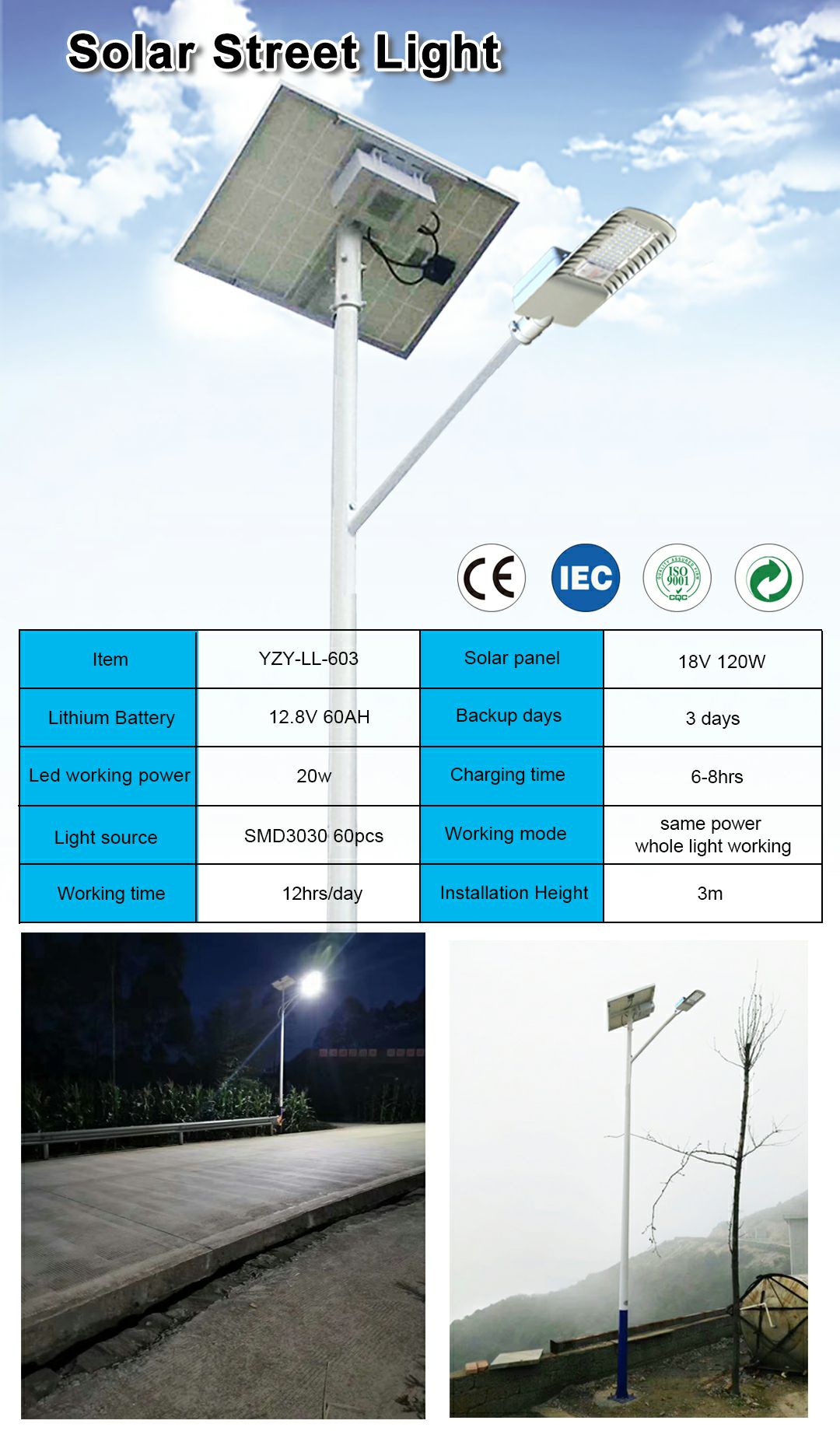 603 Dual body street lamp